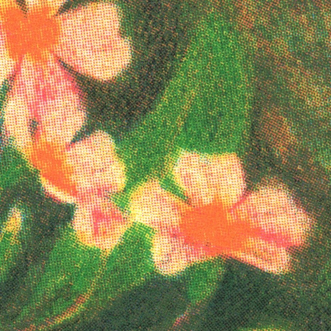 poem card 5